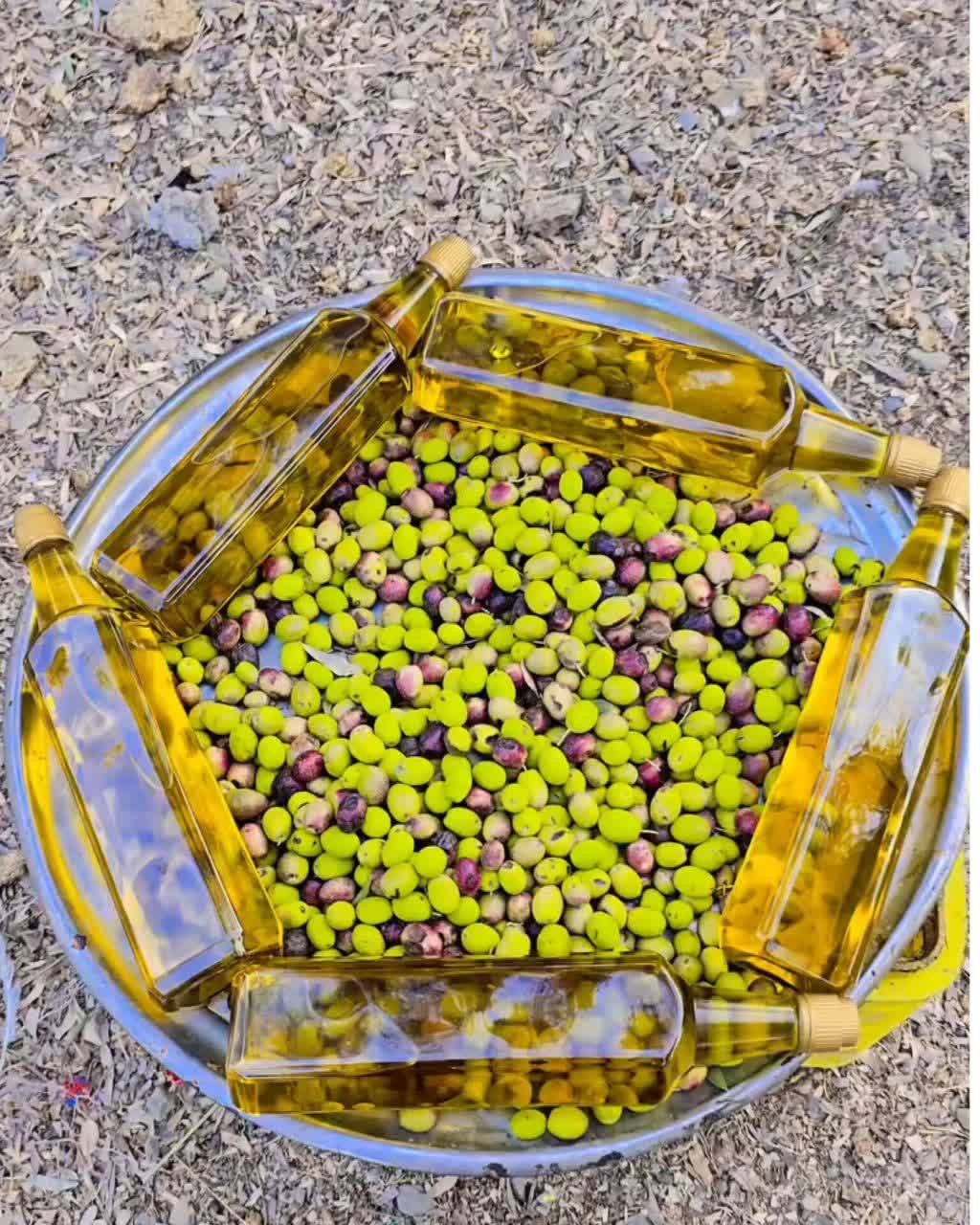 روغن‌ زیتون‌ طبیعی مزرعه